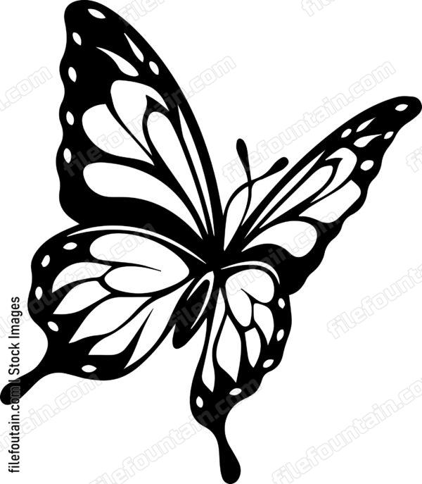 butterfly Flying