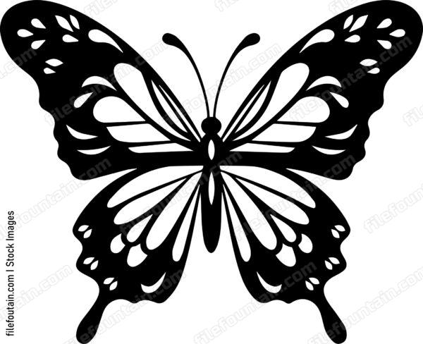 butterfly Flying