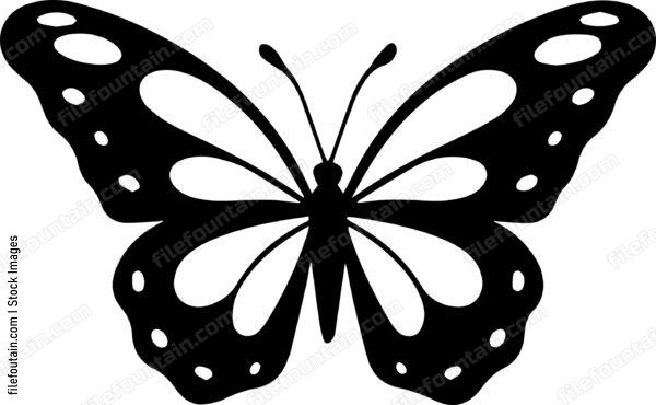 butterfly Flying