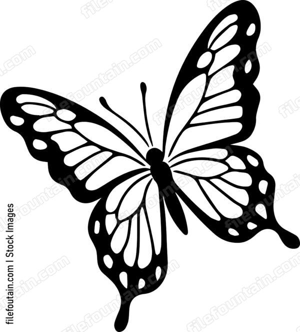 butterfly Flying