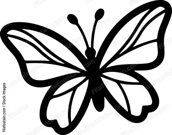 butterfly Flying