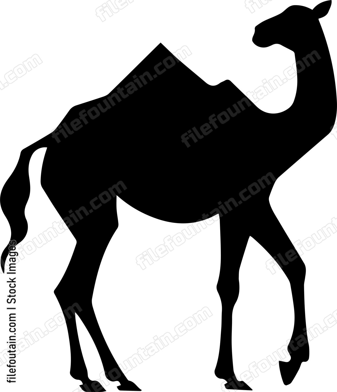 Camel