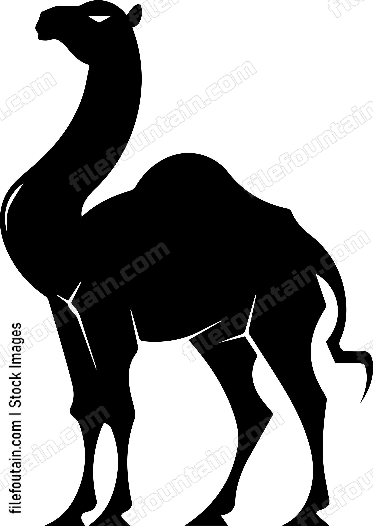 Camel