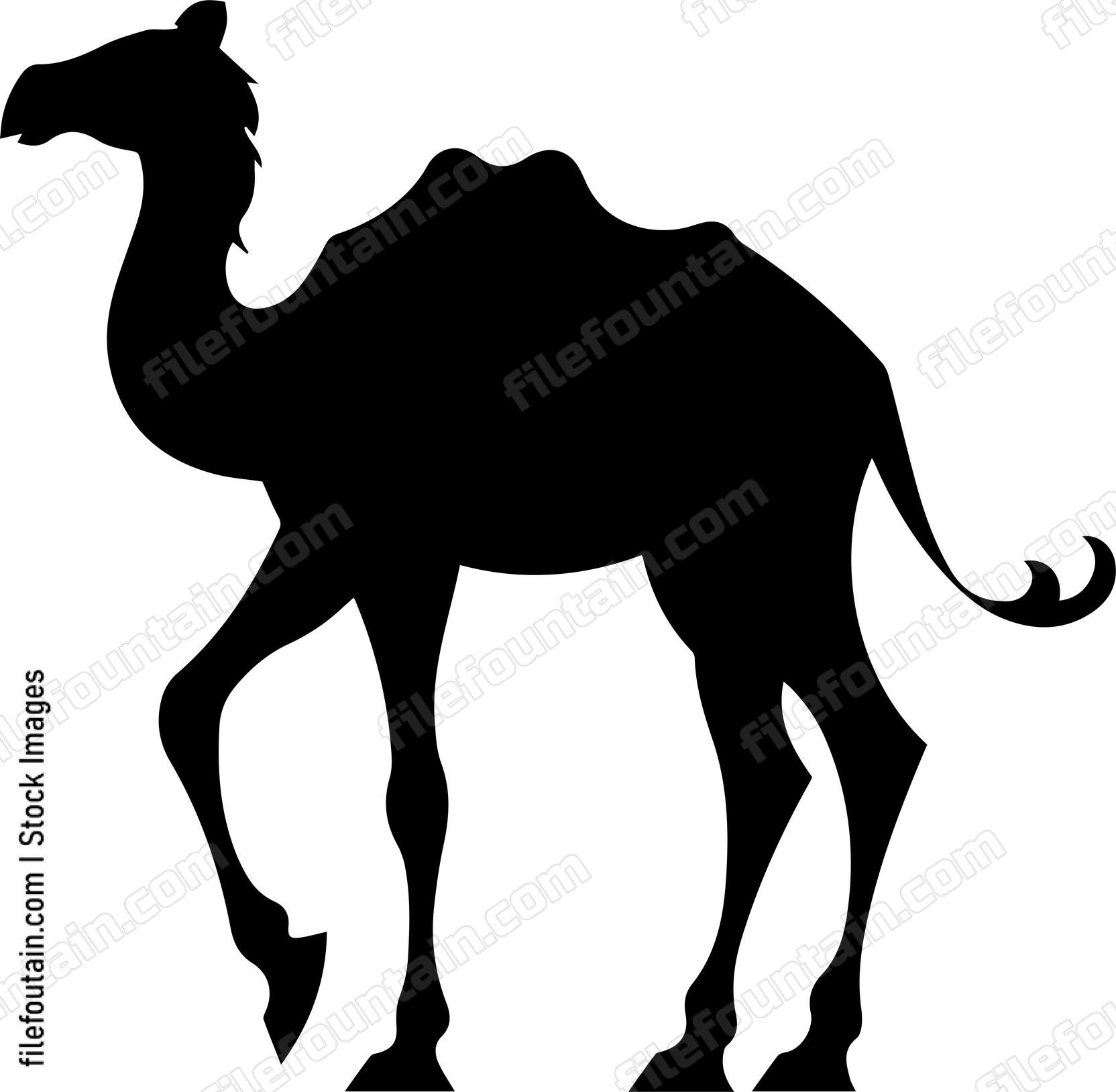 Camel