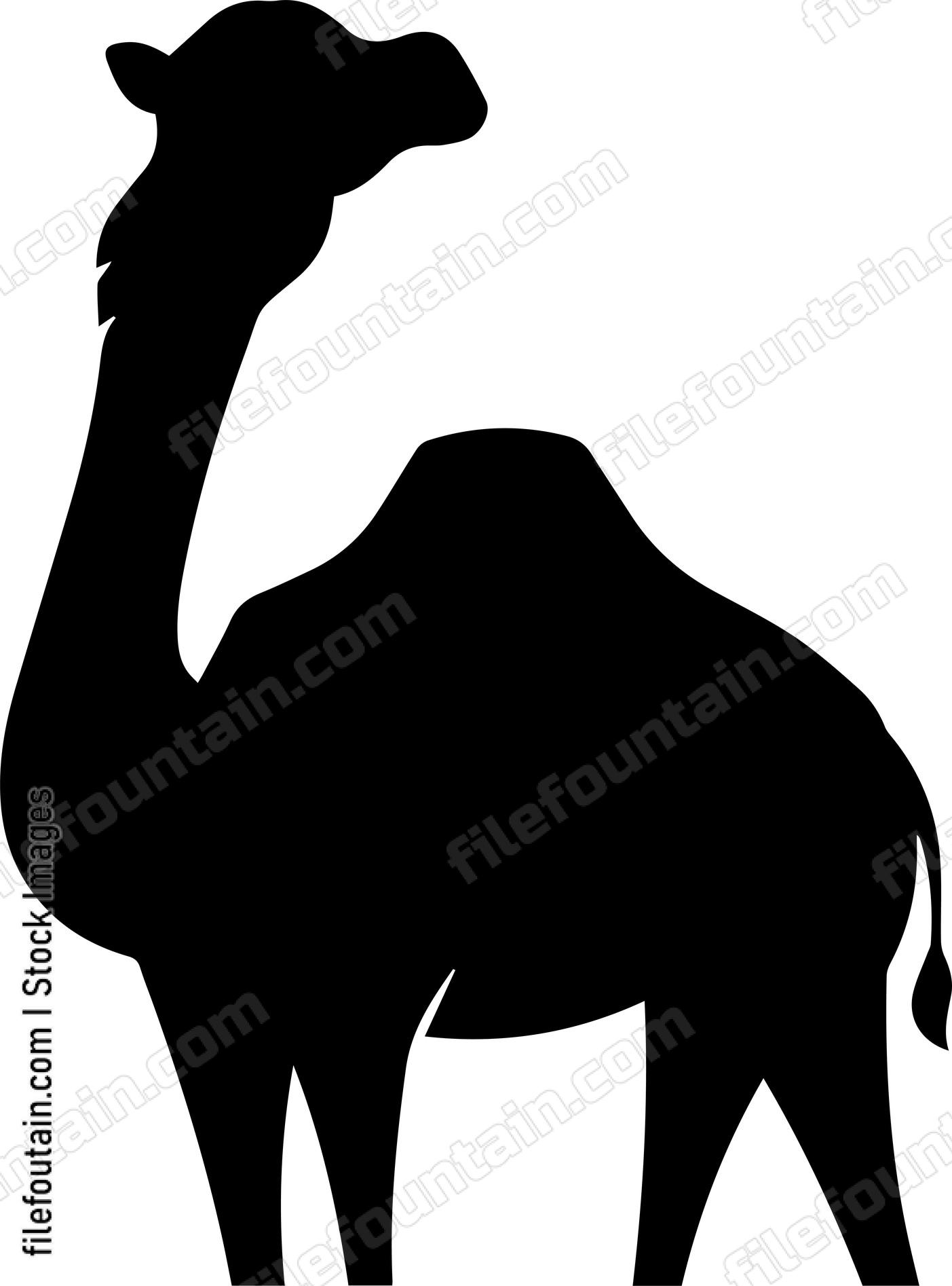 Camel