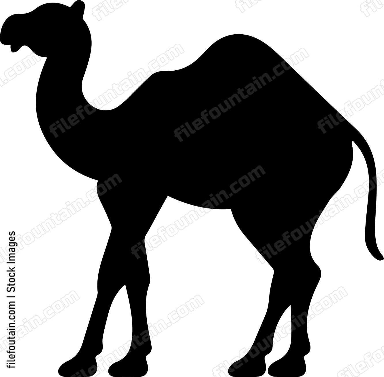 Camel