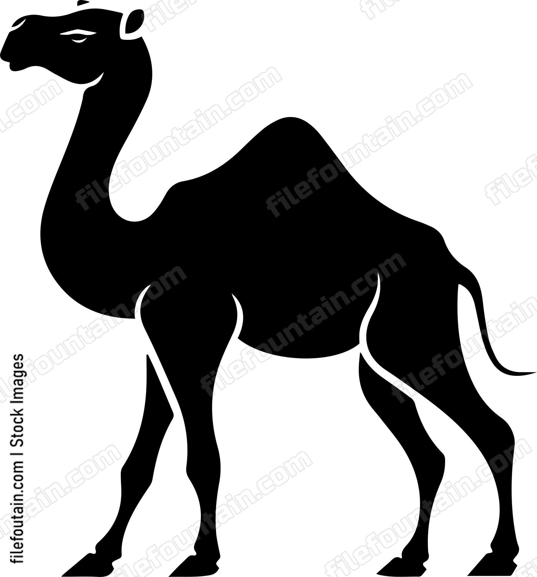 Camel