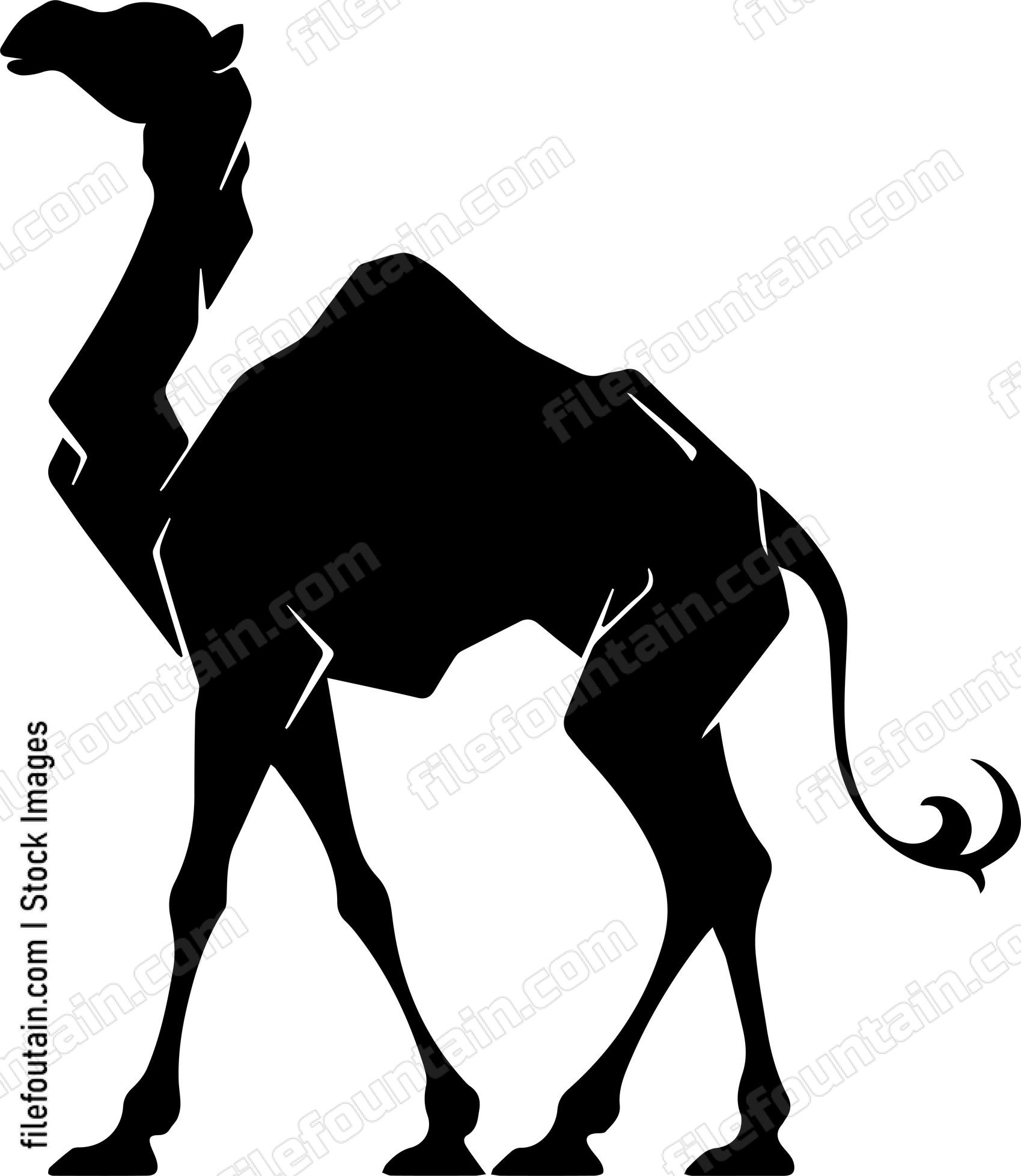 Camel