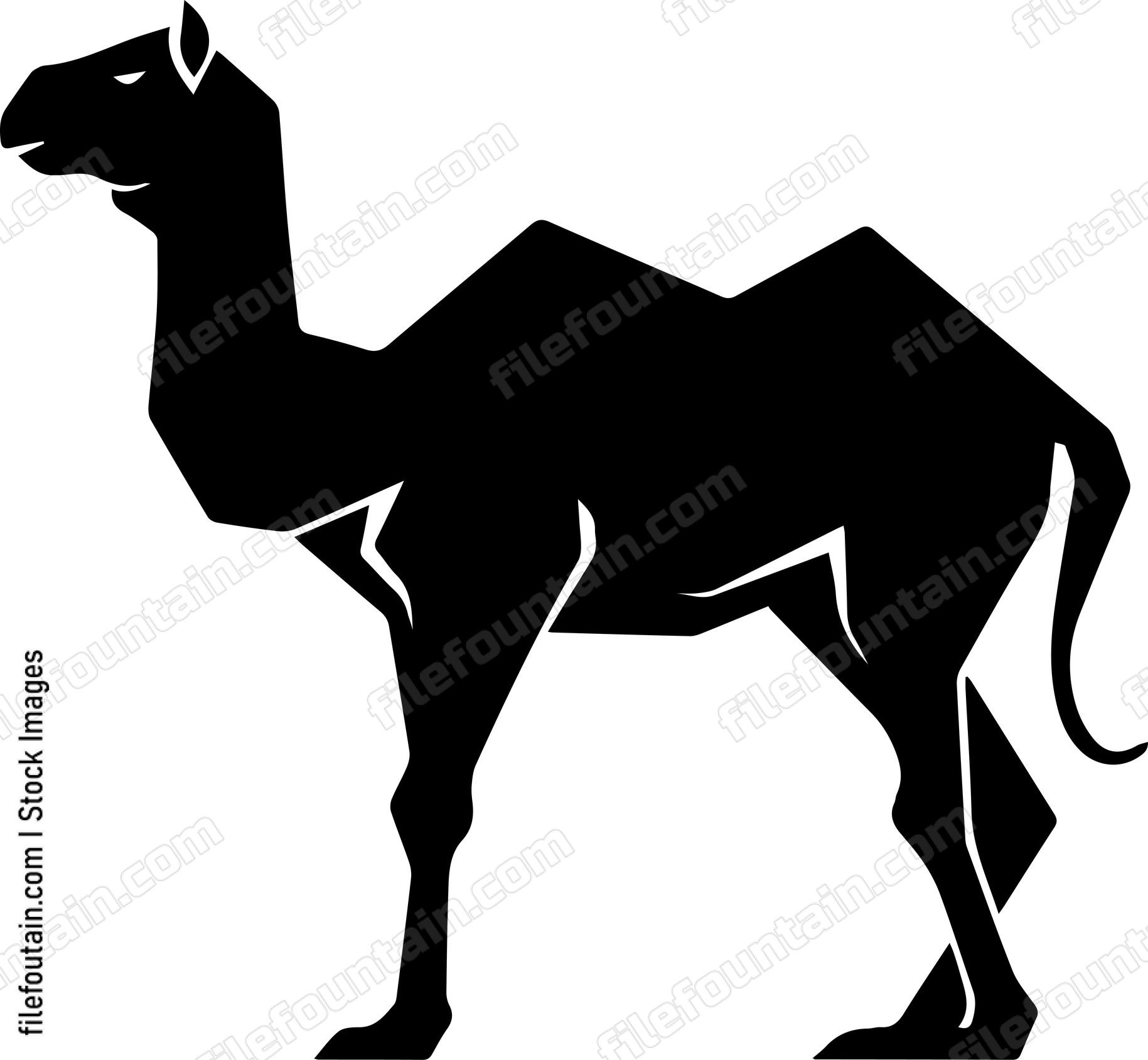 Camel