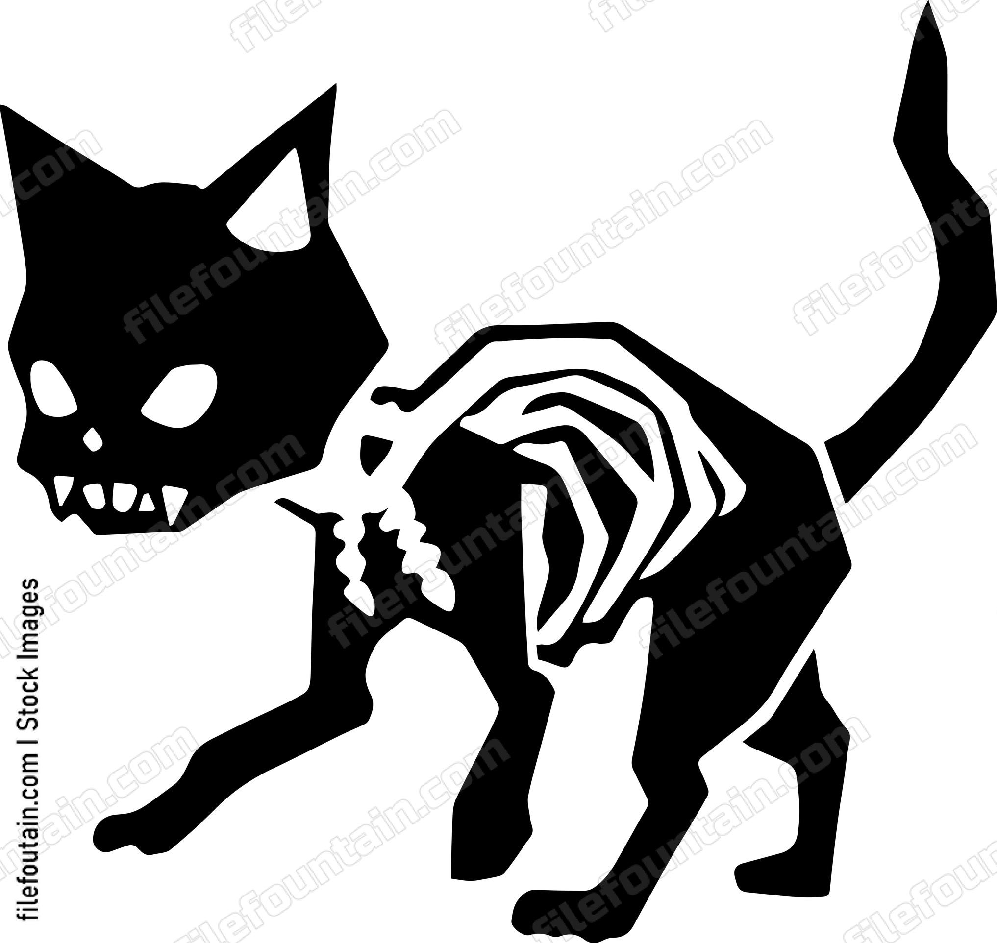 Cat Xray Skelleton