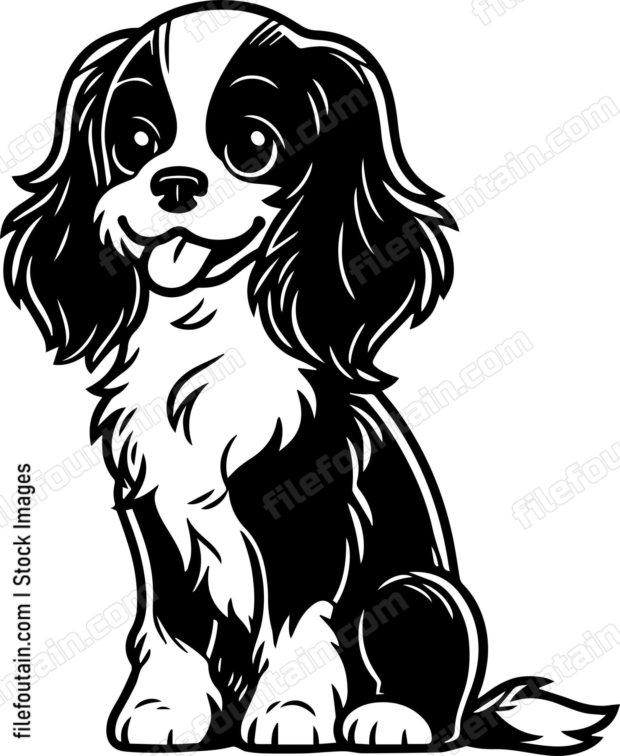 Cavalier King Charles Spaniel
