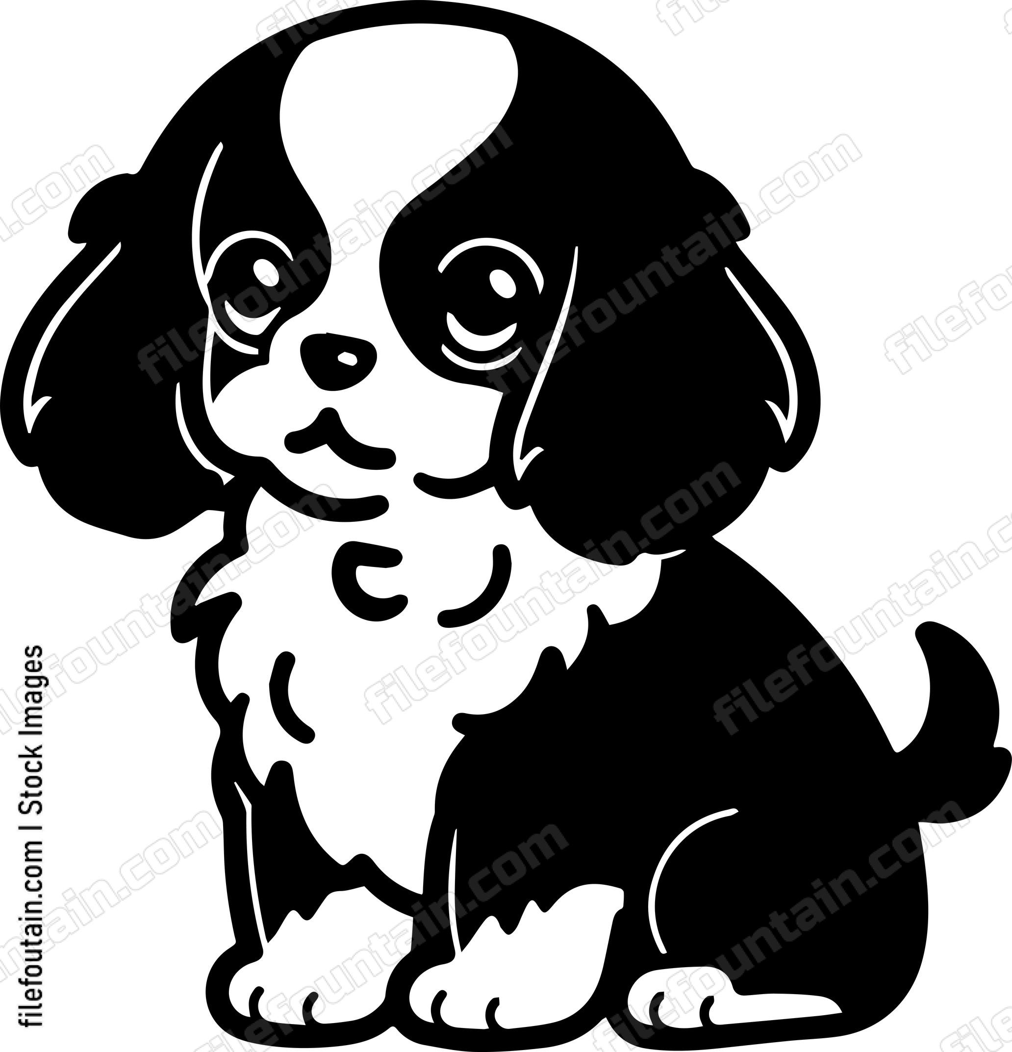 Cavalier King Charles Spaniel