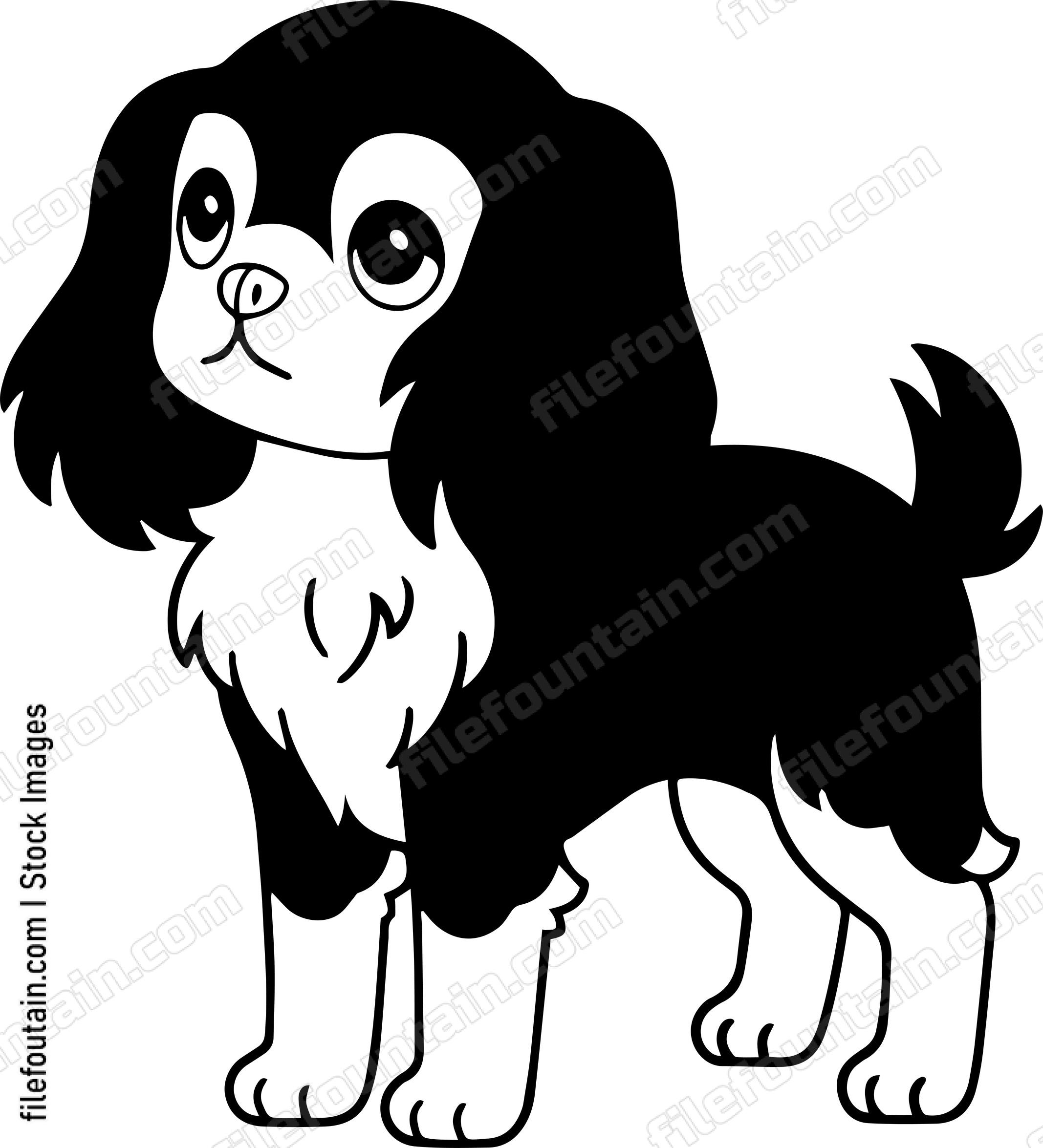 Cavalier King Charles Spaniel