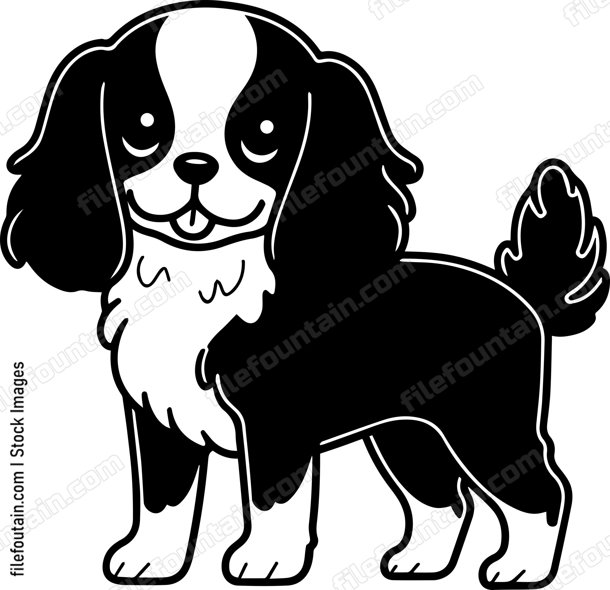 Cavalier King Charles Spaniel