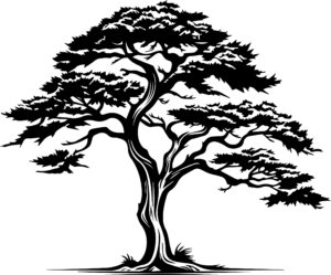 Cedar Tree