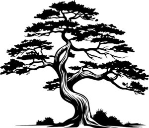 Cedar Tree