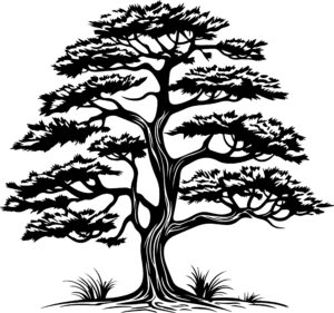Cedar Tree