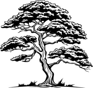 Cedar Tree