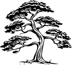 Cedar Tree