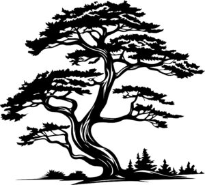 Cedar Tree