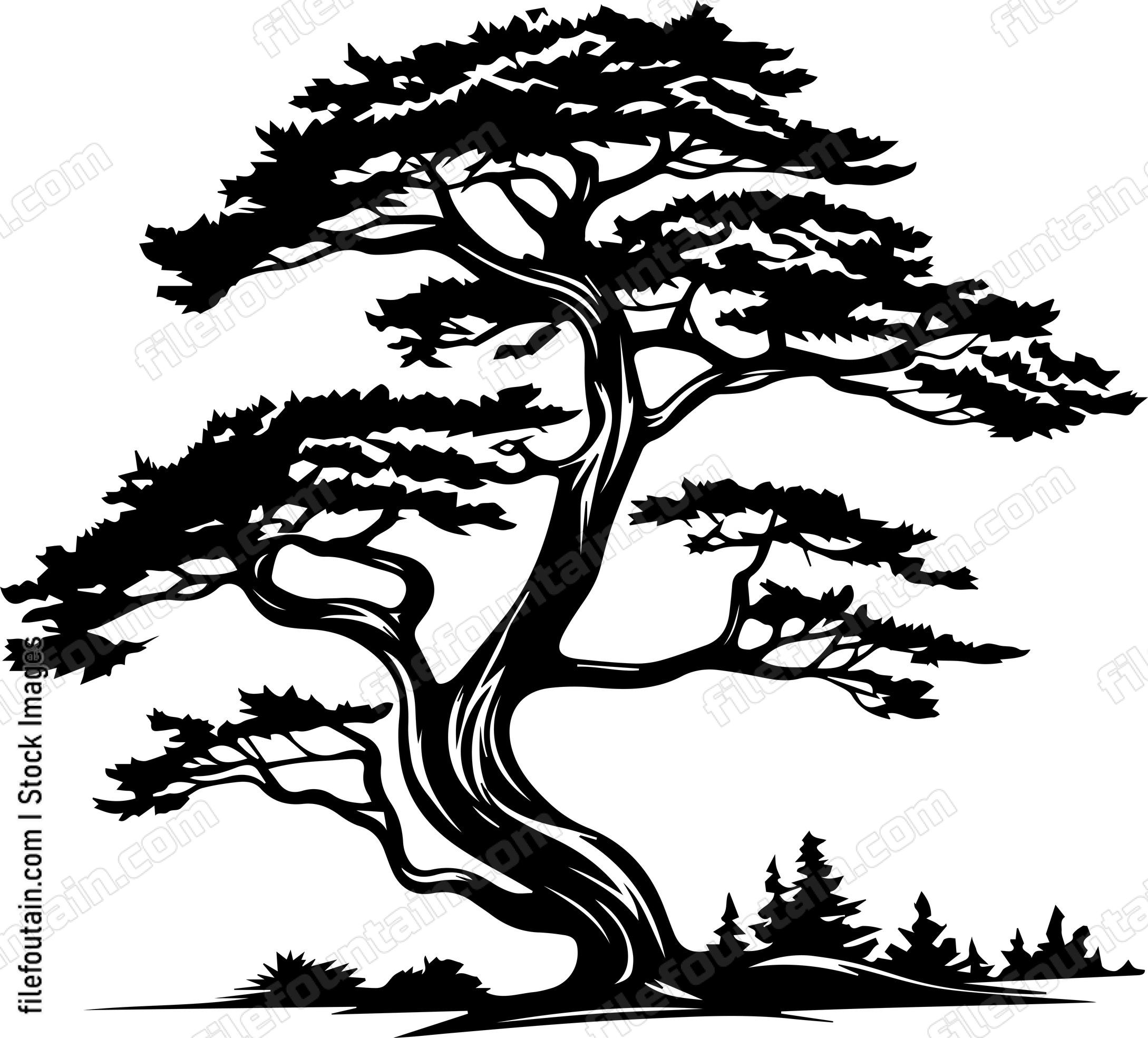 Cedar Tree