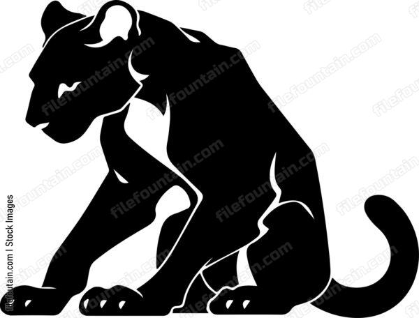 Cougar