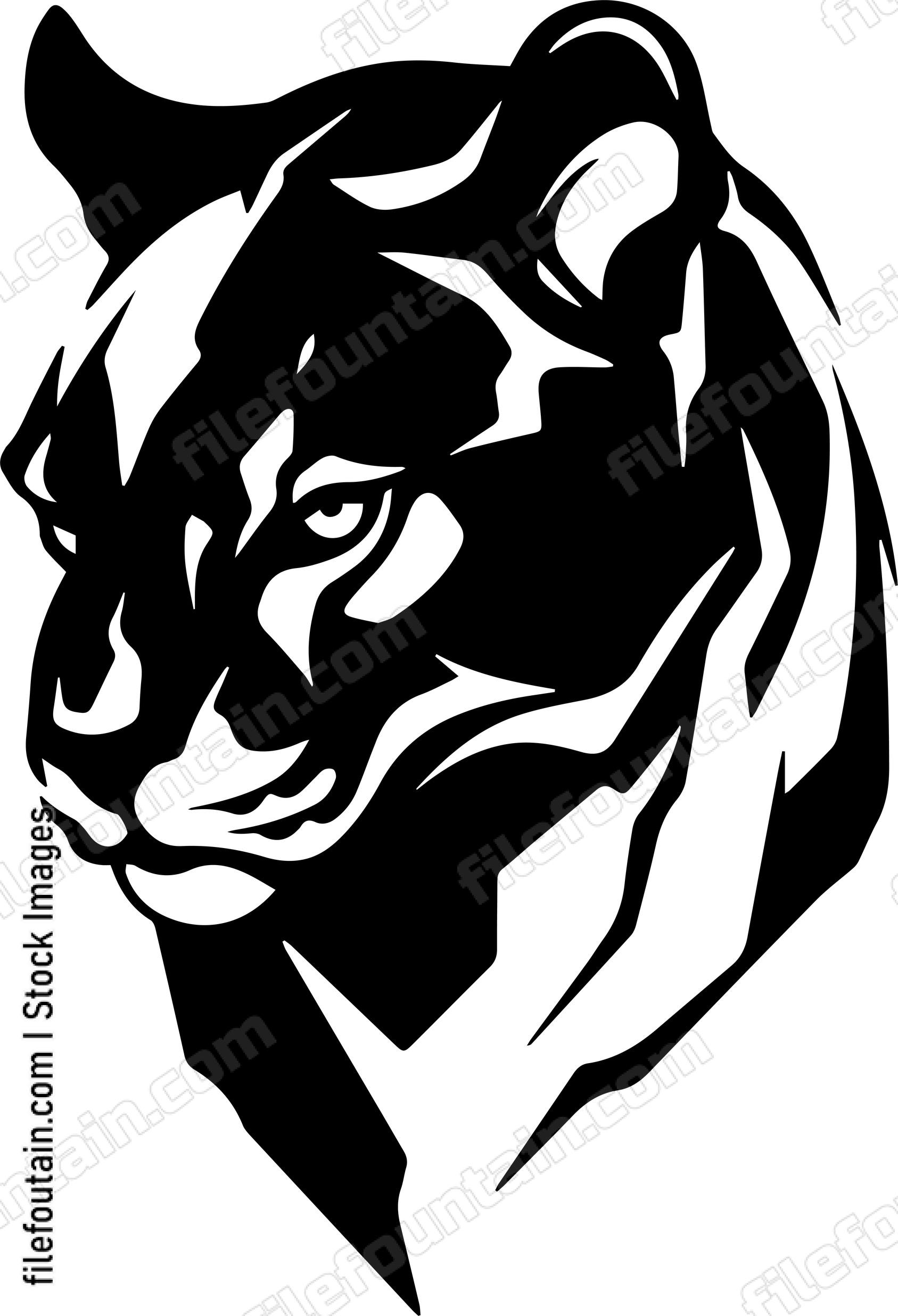 Cougar