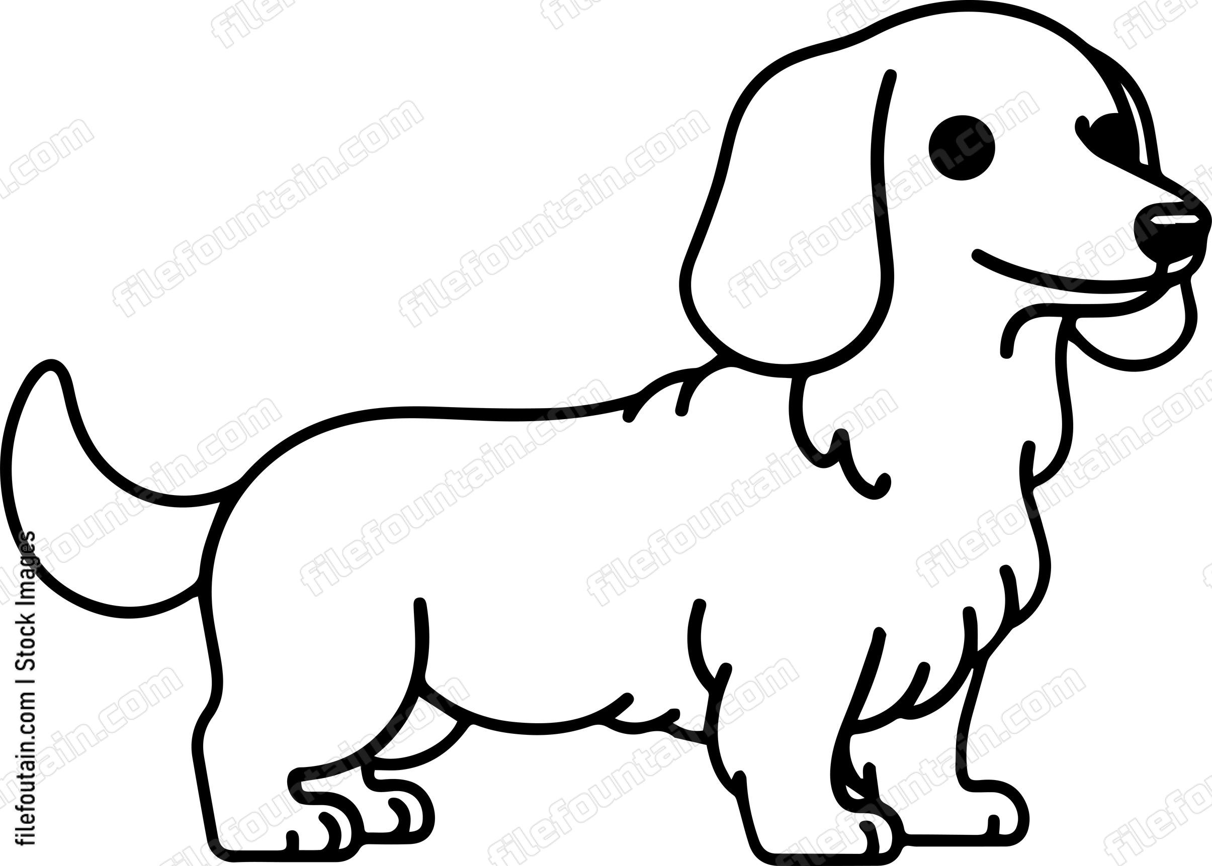 Dachshund