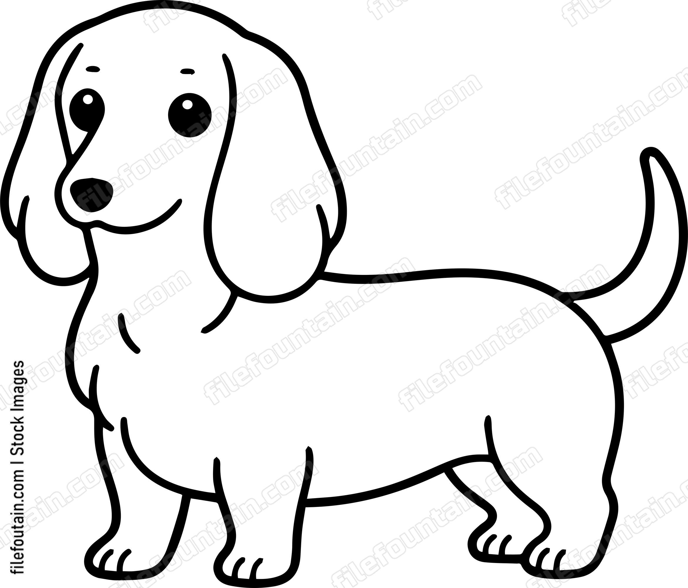 Dachshund