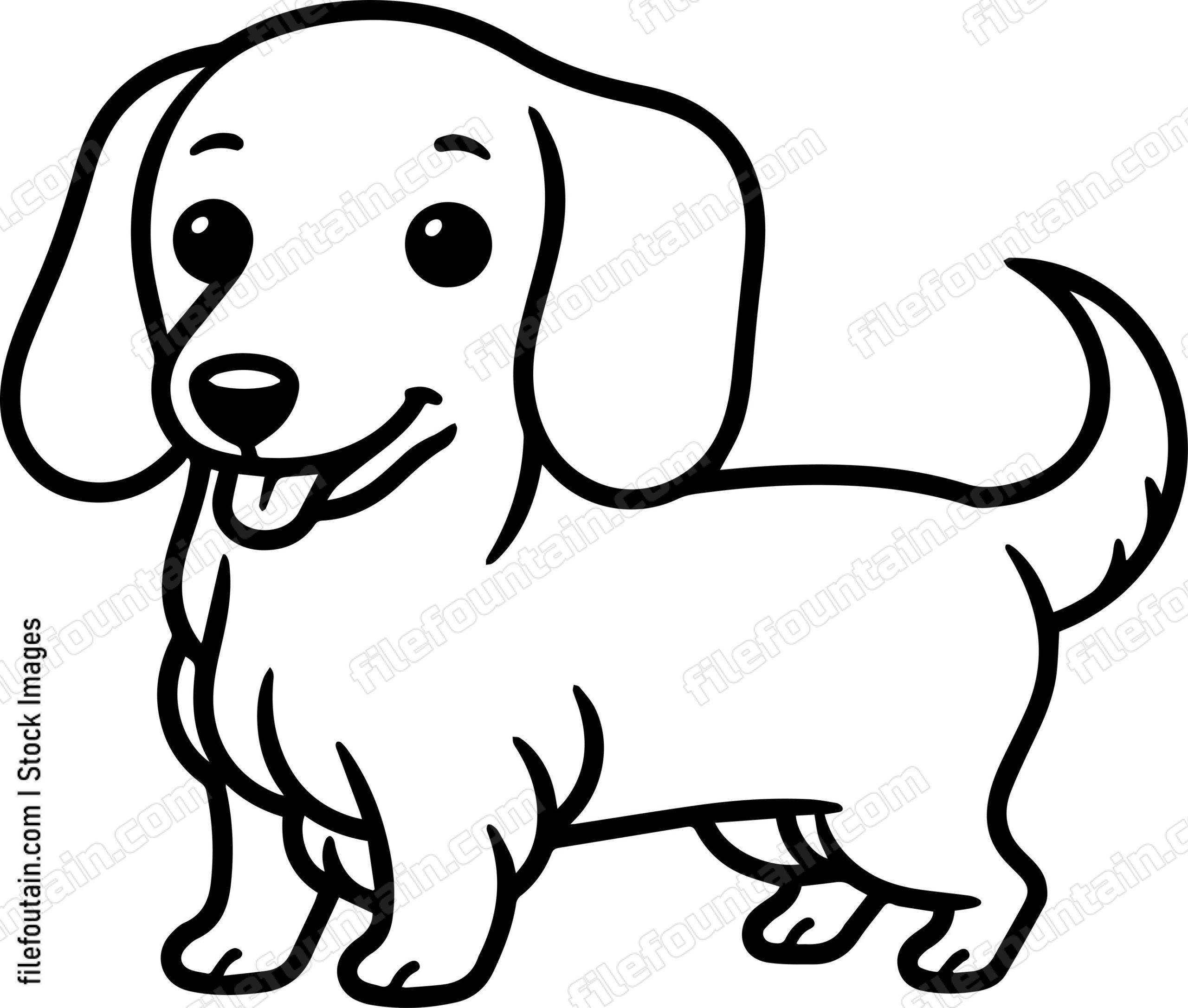 Dachshund