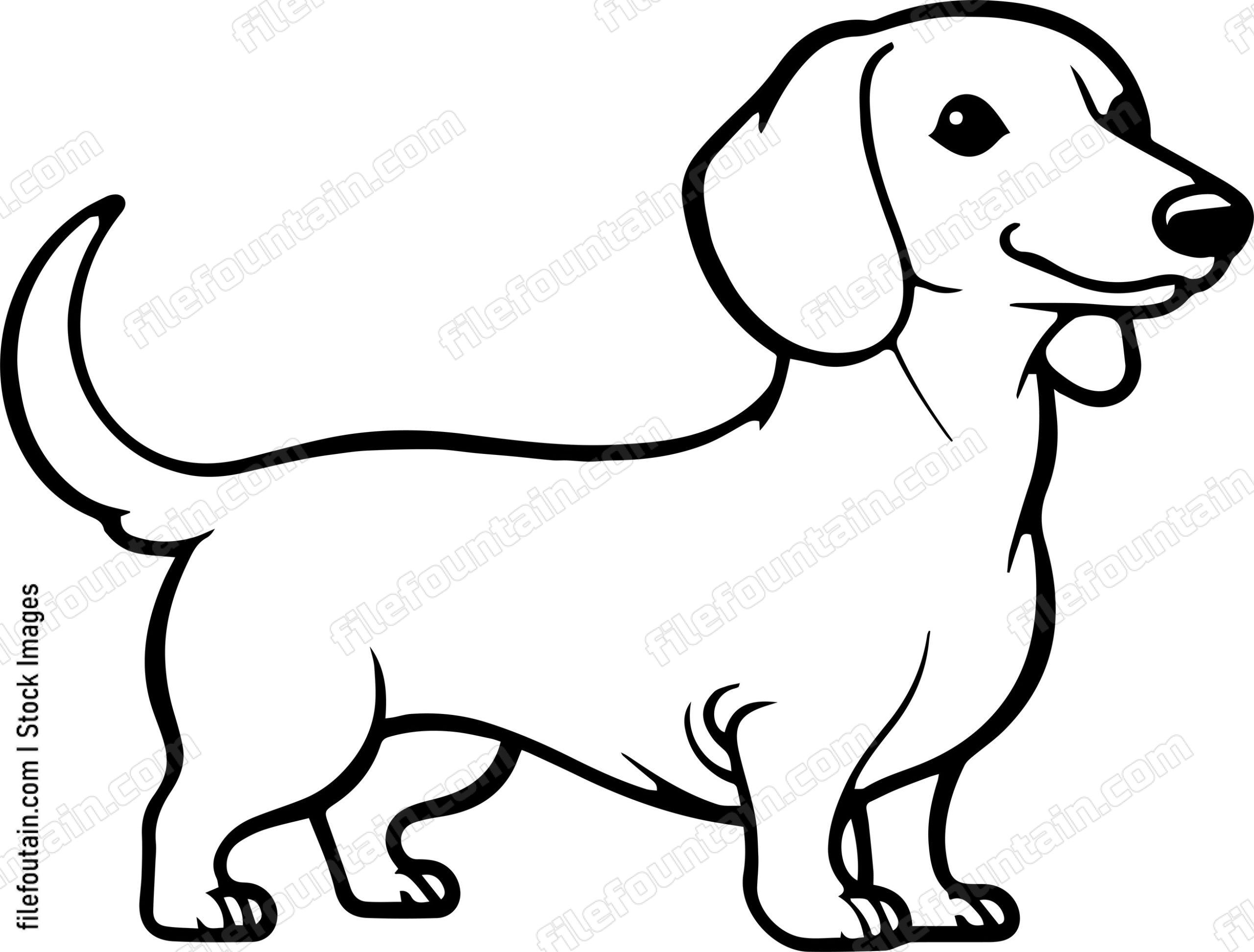 Dachshund