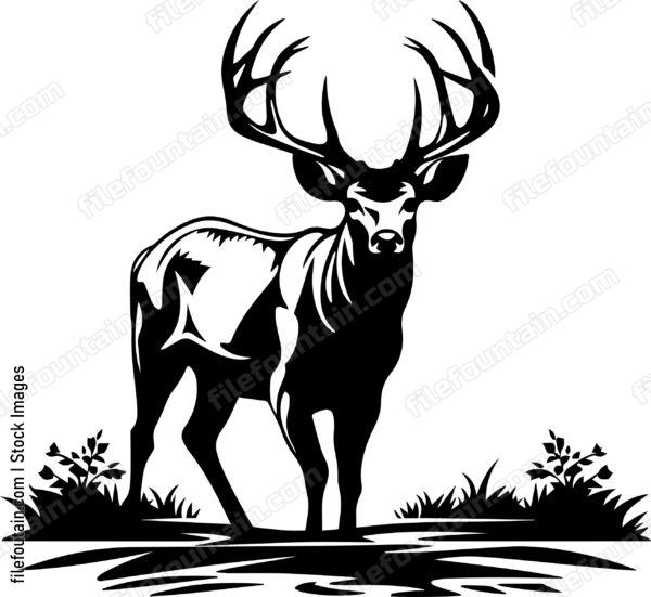 Deer Hunting