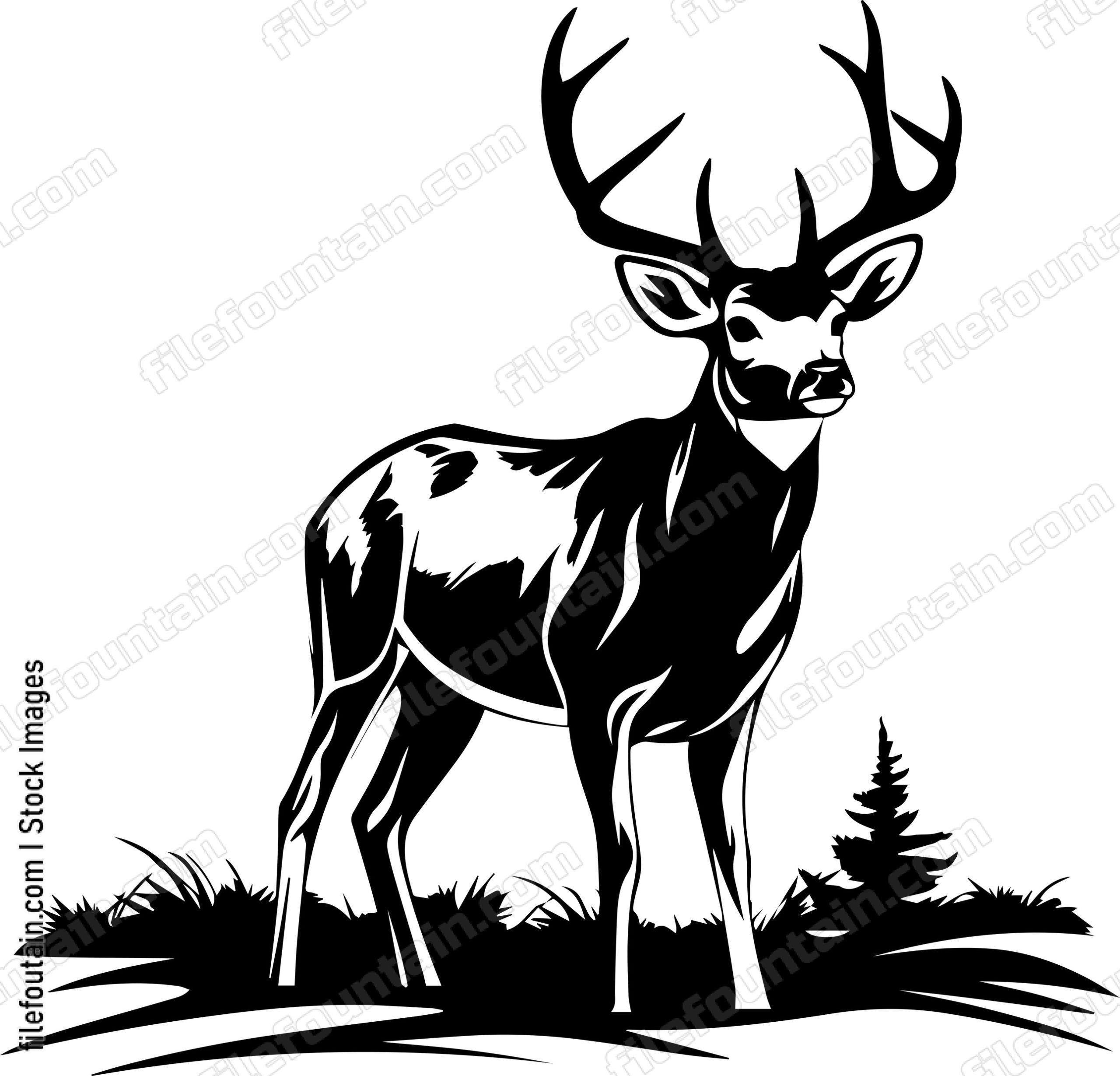 Deer Hunting