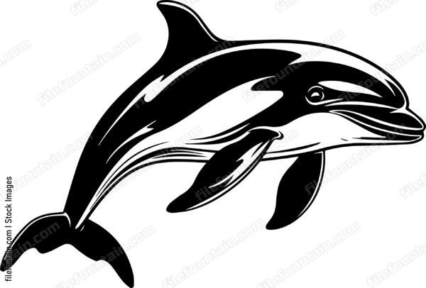 Dolphin