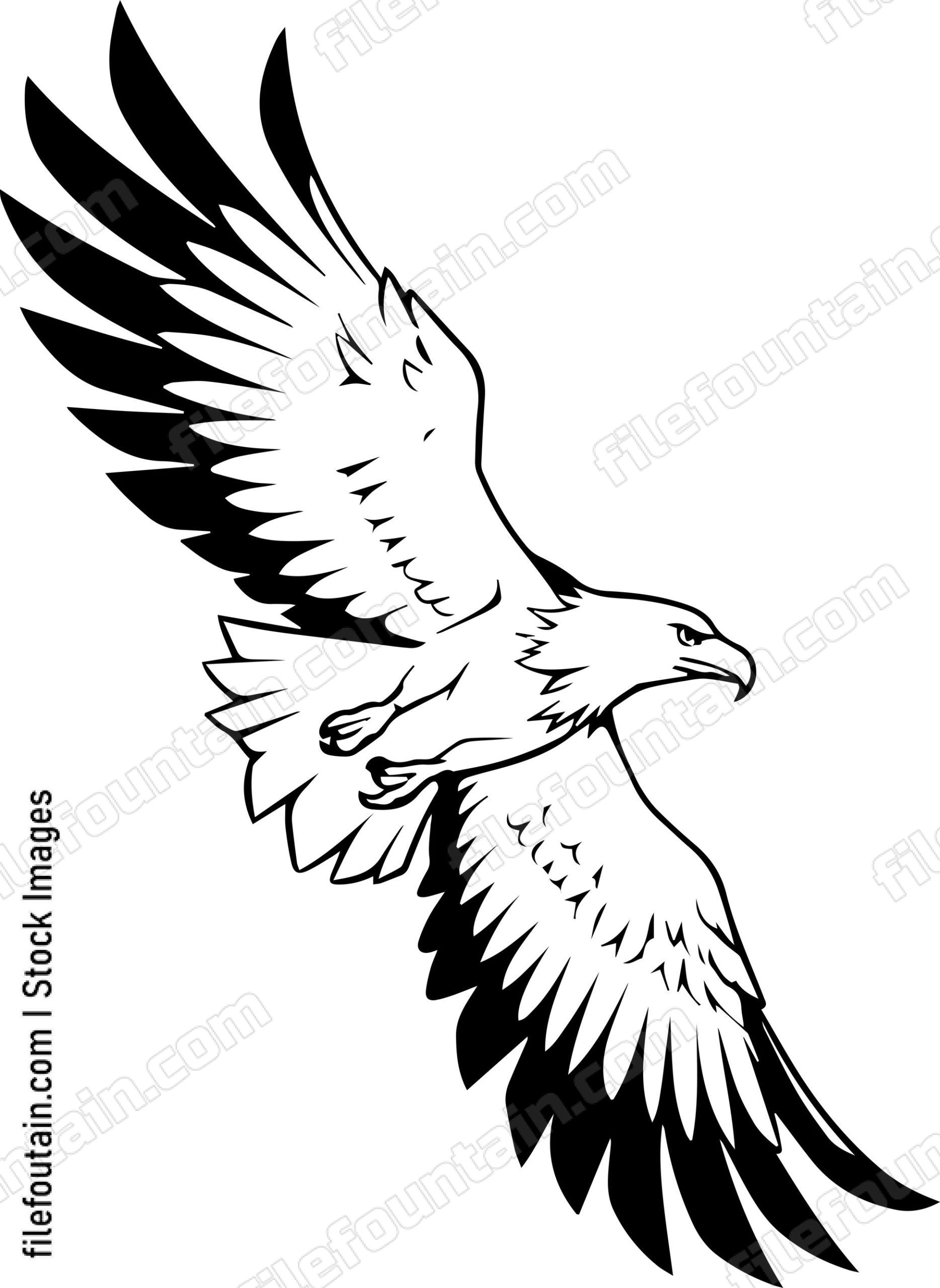 Eagle Flying