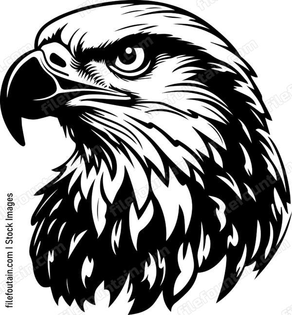 Eagle head