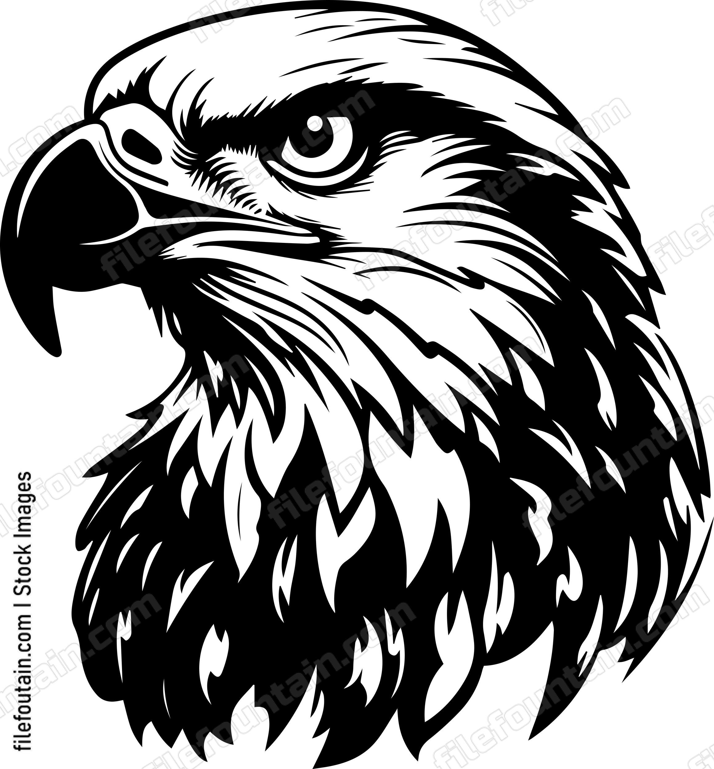 Eagle head