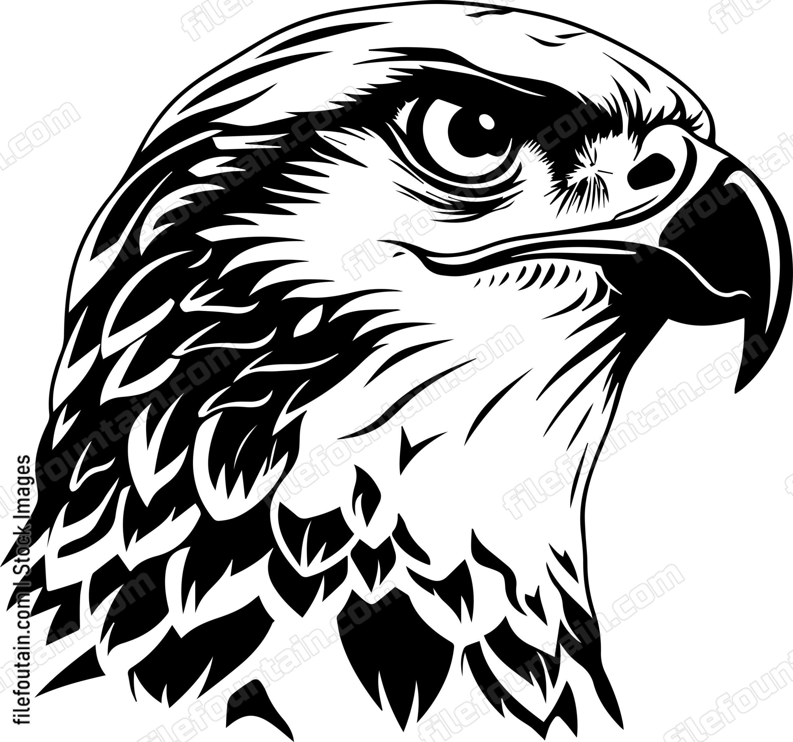 Eagle head