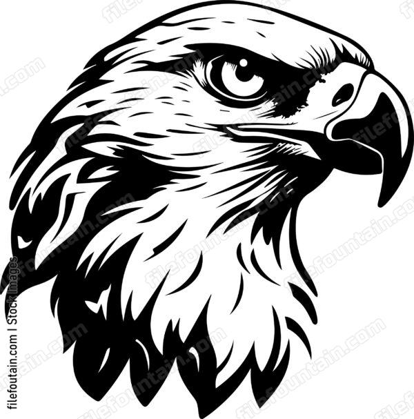 Eagle head