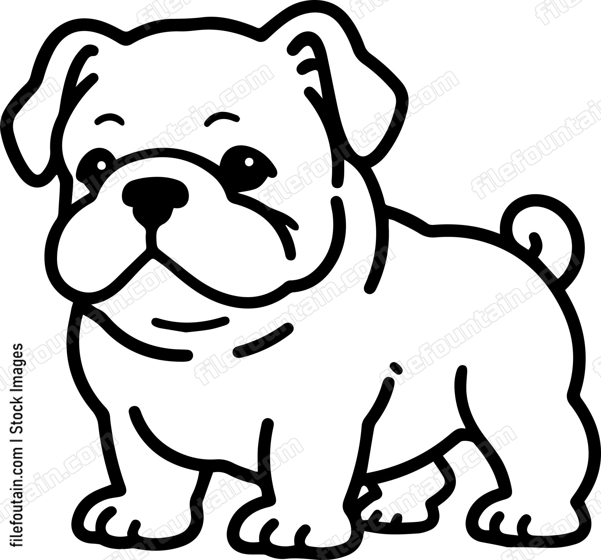 English Bulldog