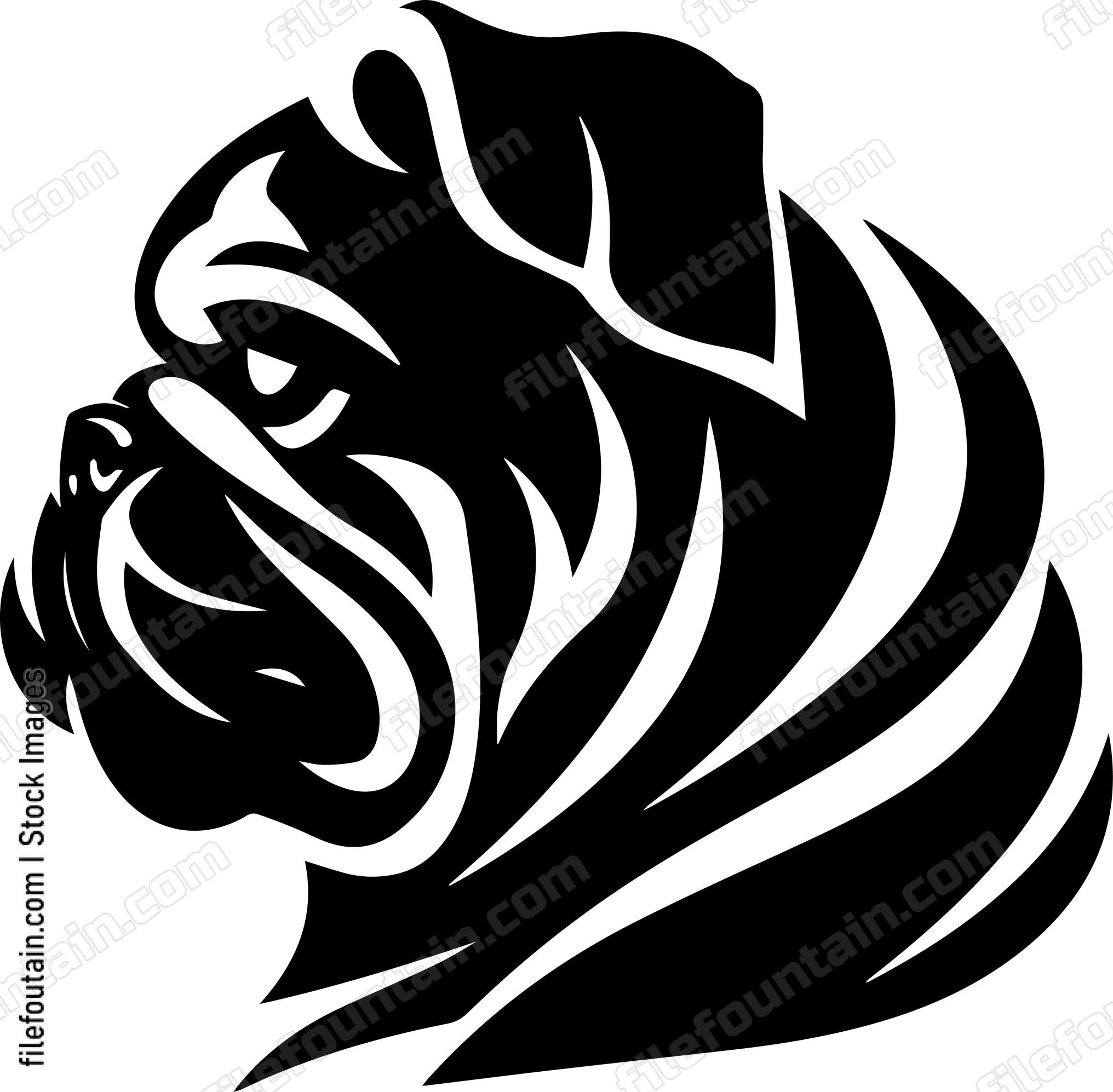 English Bulldog
