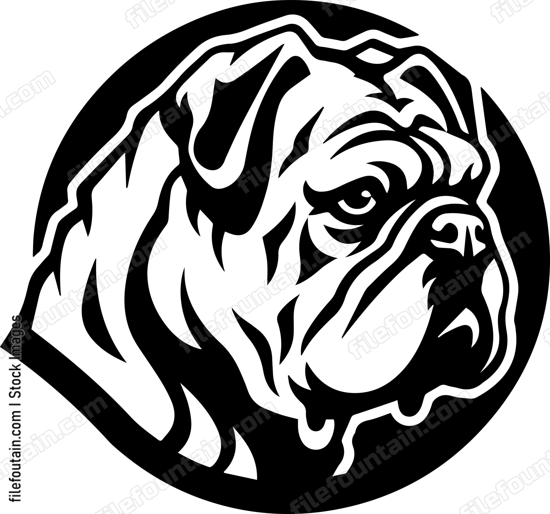 English Bulldog