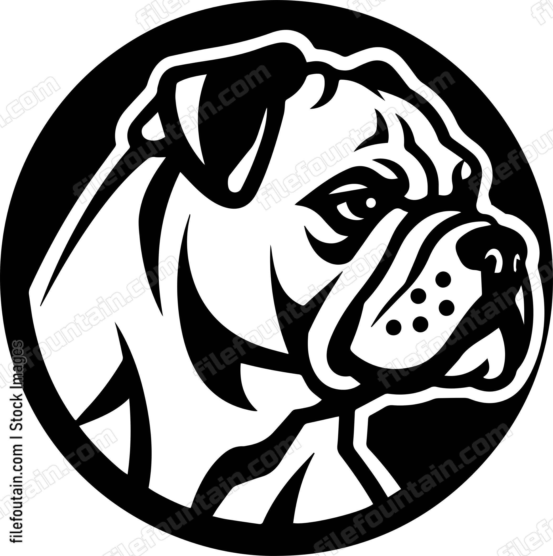 English Bulldog