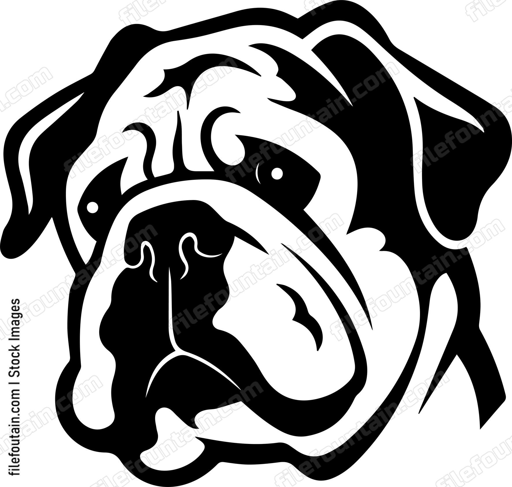 English Bulldog