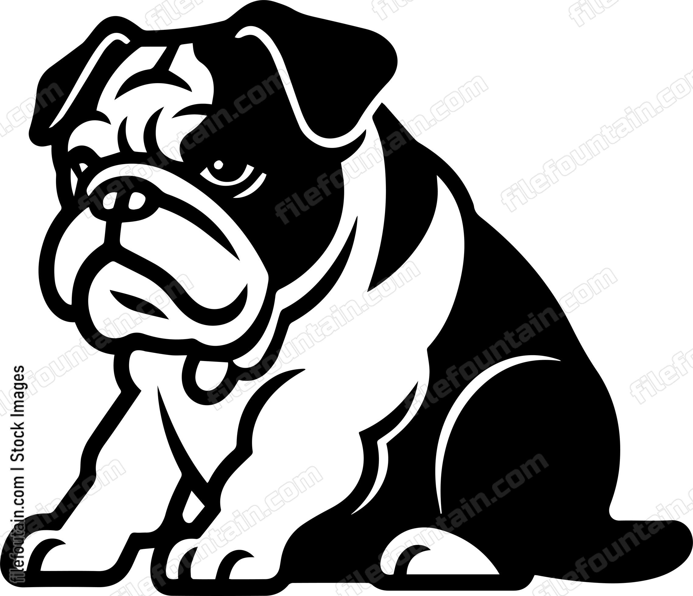 English Bulldog