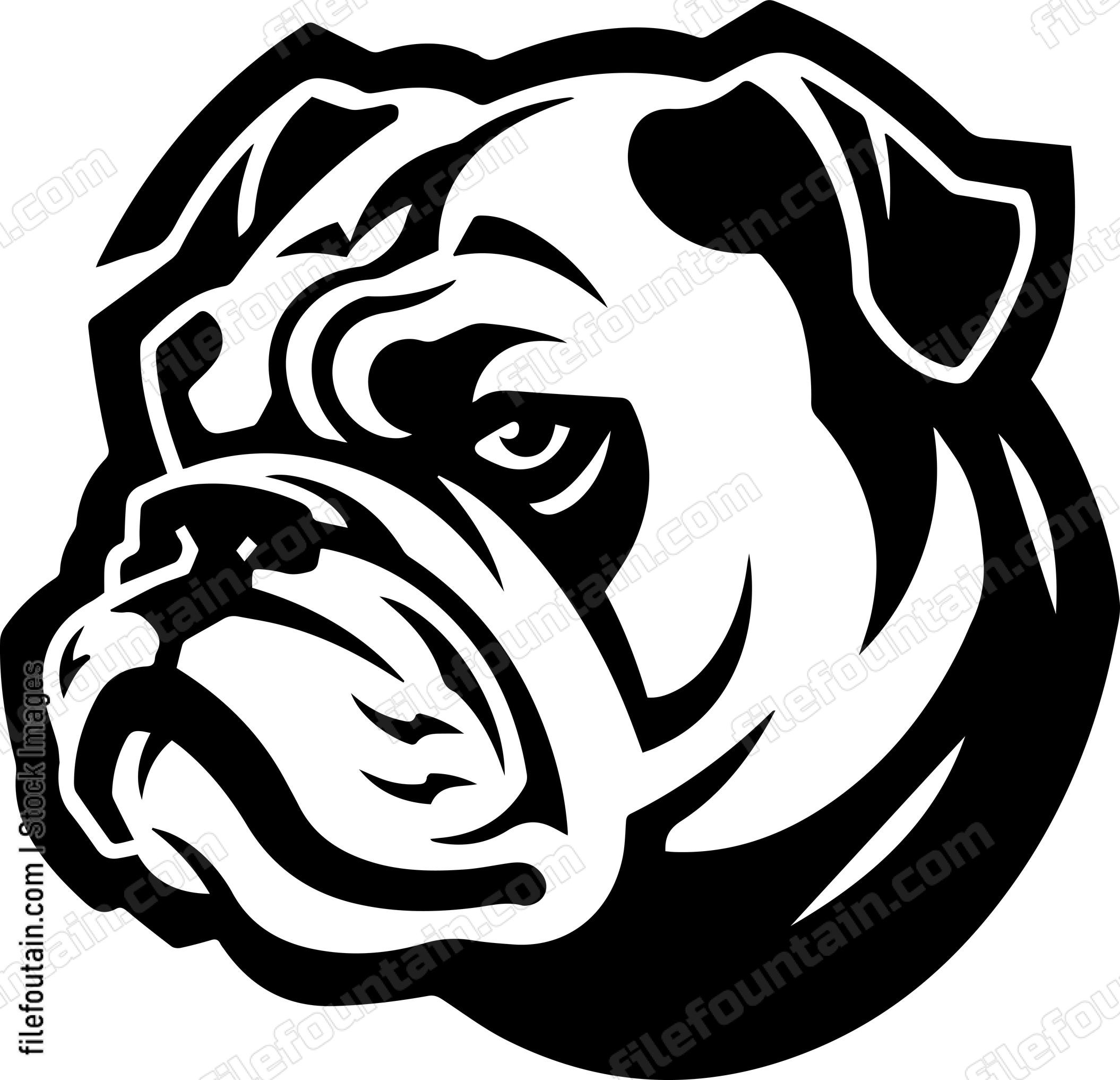English Bulldog