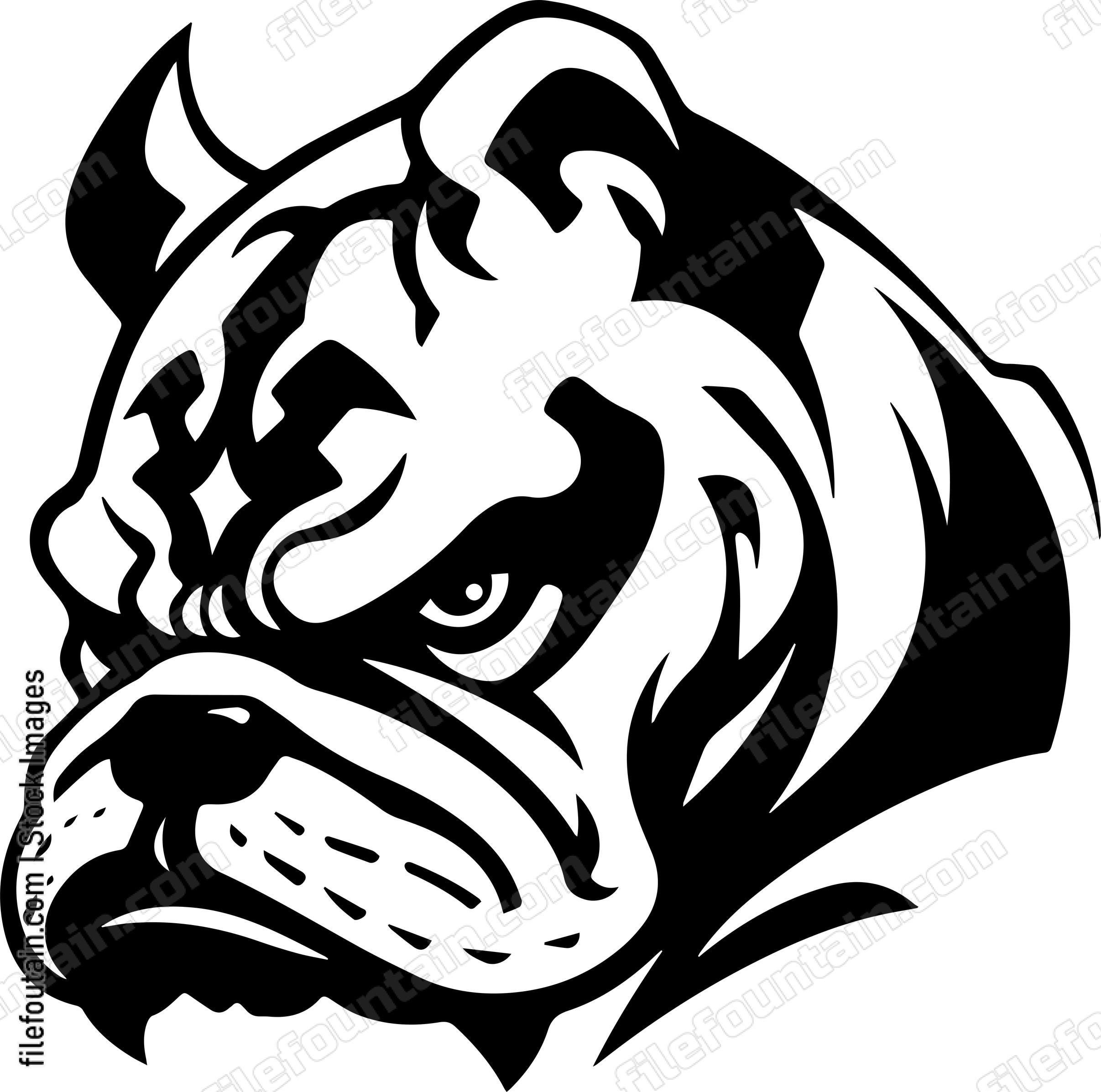 English Bulldog