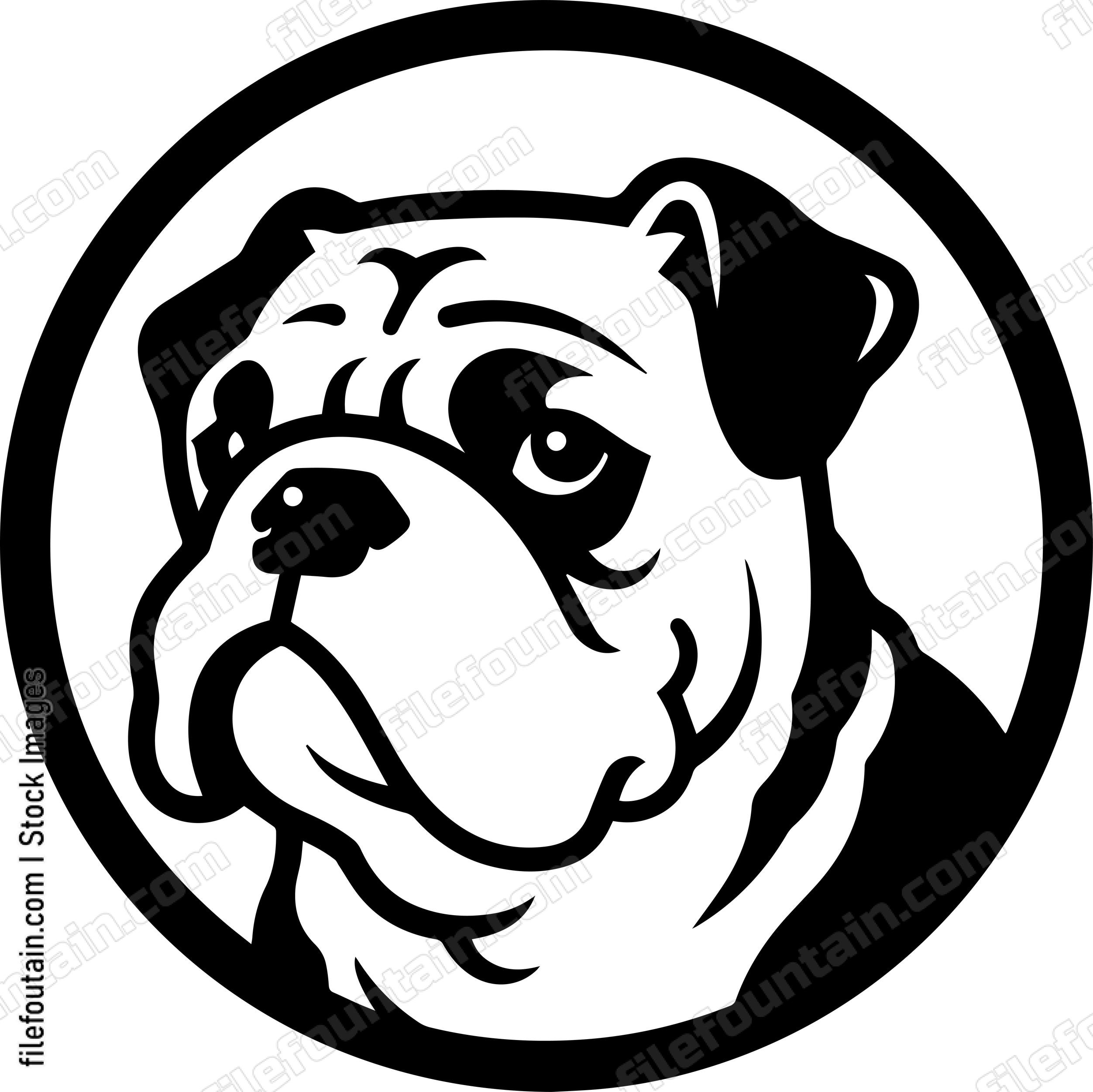 English Bulldog