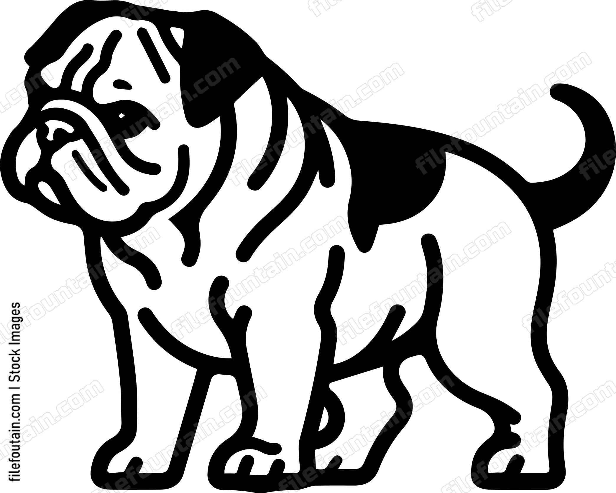 English Bulldog