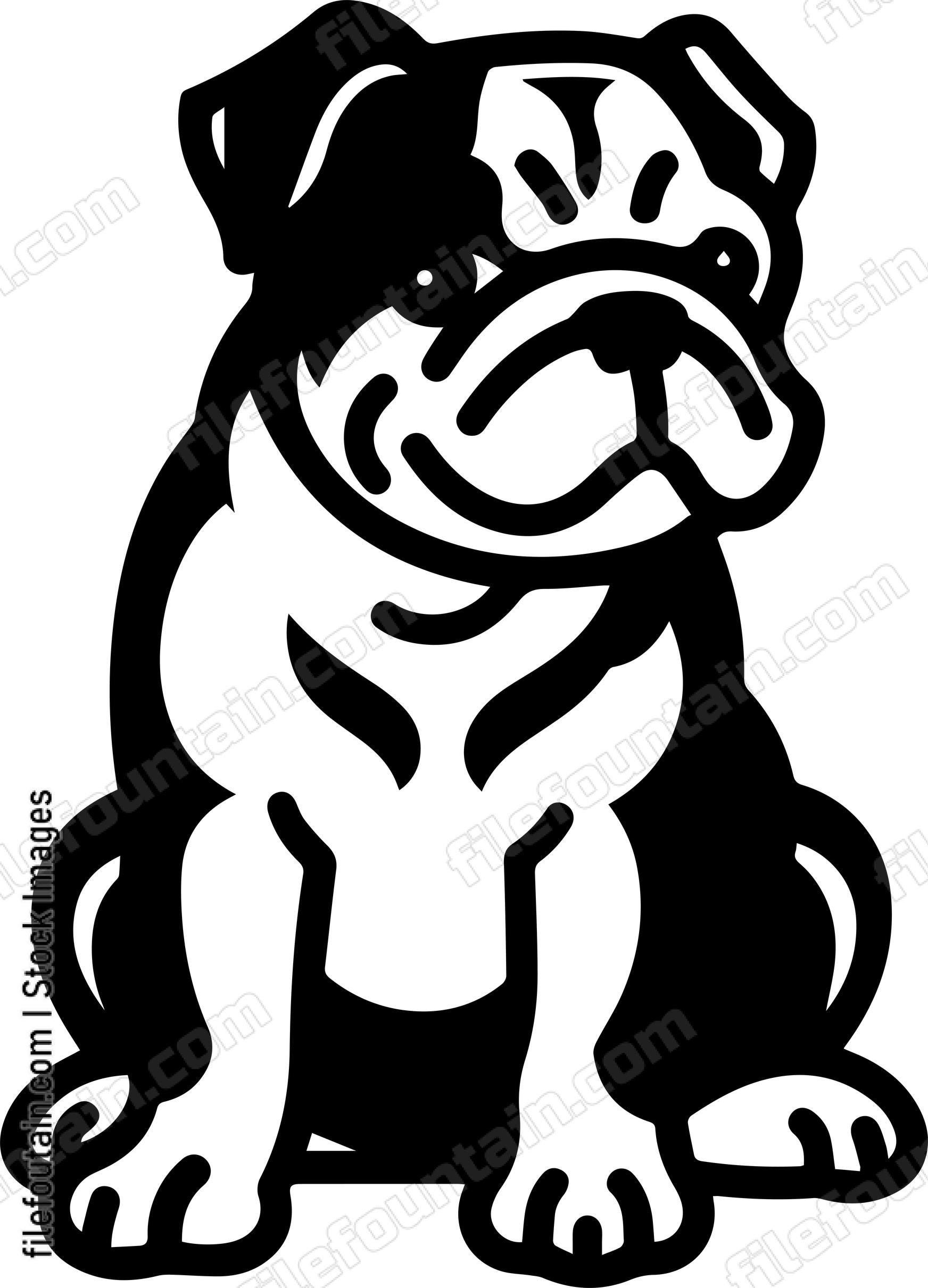 English Bulldog